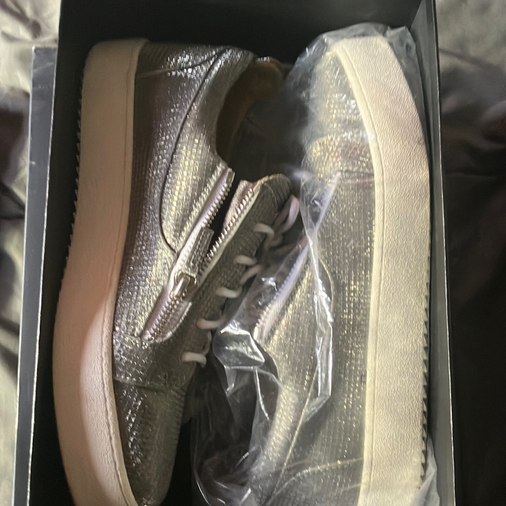 Giuseppe Zanotti